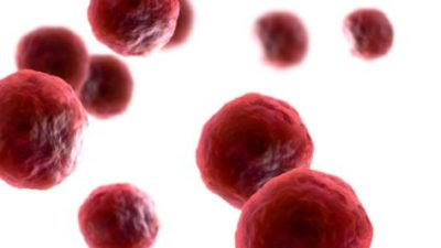Cord Blood Stem Cells Market