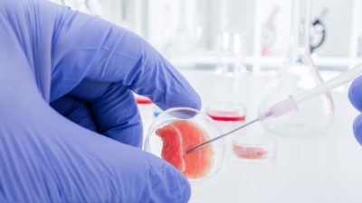 Orthobiology Market