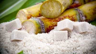Alcohol, and Sugar/Starch Enzymes Market