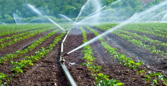 Global Micro Irrigation System Market Trends, Applications, Analysis,