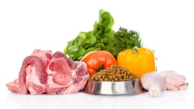 Pet Food Ingredients Market
