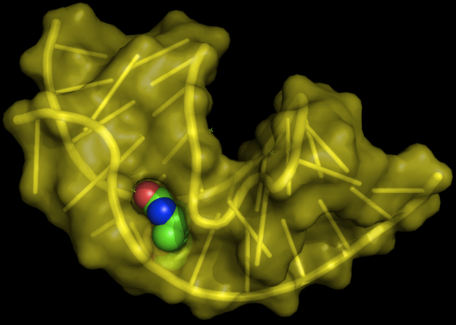 Aptamers Market Size, Share, Trend, and Forecast 2032