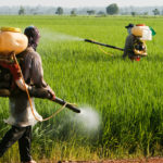 Crop Protection Chemicals Market