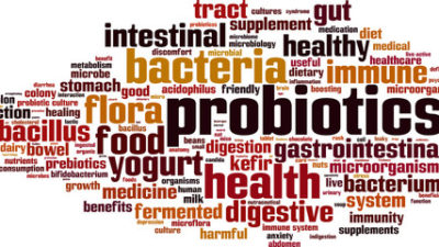 Digestive Health Enzymes, Prebiotics and Probiotics Market