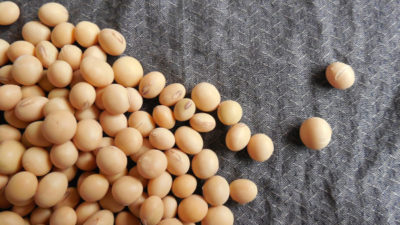 Isoflavones Market