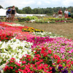 Floriculture Market