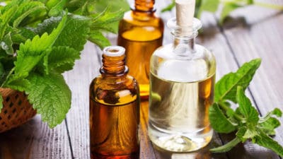 Herb Oil Market