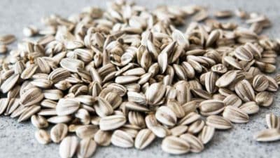 Sunflower Seeds Market