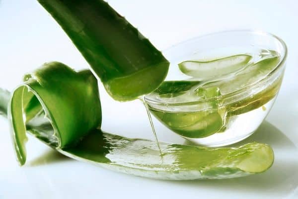 Global Aloe Vera Extracts Market Size| Industry Share Report 2026