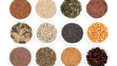 Commercial Seeds Market