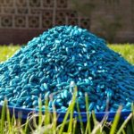 Europe Rodenticides Market
