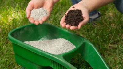 Nitrogenous Fertilizers Market