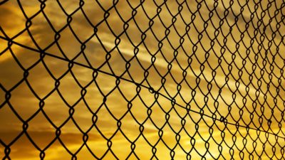 Fencing Market