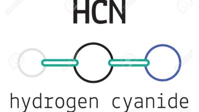 Hydrogen Cyanide Market