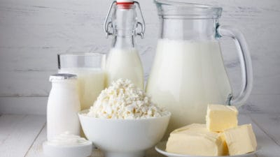 Dairy Ingredients Market