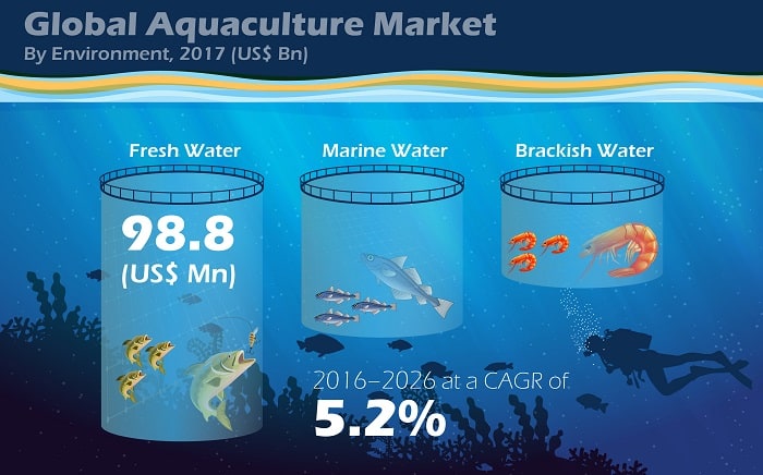 aquaculture market