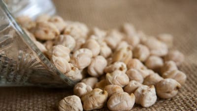 Soy Protein Ingredients Market