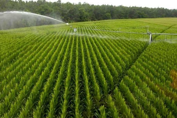 Global Smart Agriculture Market Size, Share, Trend Outlook ...