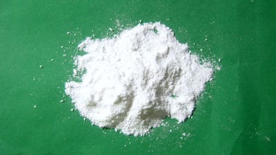 Calcium Propionate Market