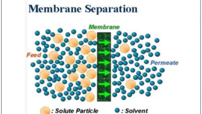 Membrane Separation Market
