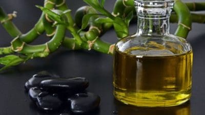 Algae Oil Market