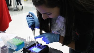 Electrophoresis Market