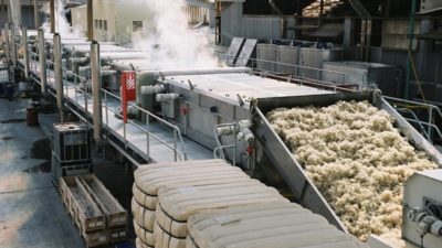 Cotton Processing Market