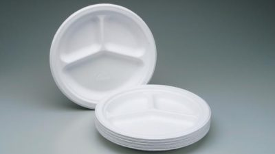 disposable plates