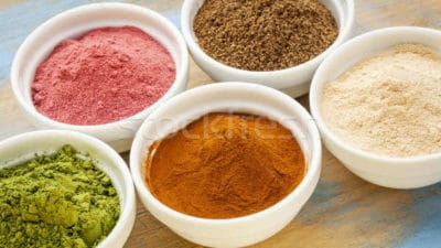 Fruit Powders Market