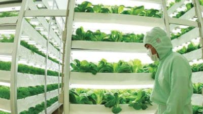 Indoor Farming Technology Market