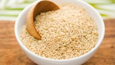 Global Organic Rice Protein Market Size | Share | Industry Report 2027