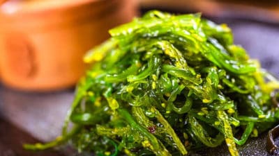 Seaweed Market