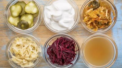 Fermented Ingredient Market