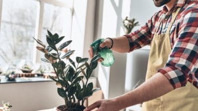 Household Insecticides Market