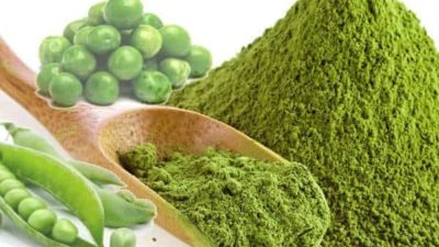 Organic Pea Protein Market