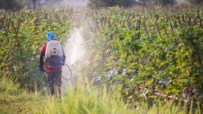 Pesticide Inert Ingredients Market
