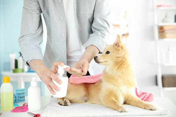 Global Pet Grooming Products Market Growth, Trends Analysis 2027