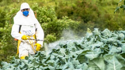 Organic Pesticides Market