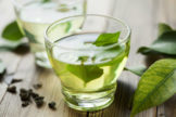 Green Tea Extract Market