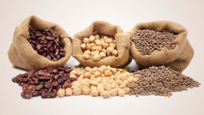 Pulses Ingredients Market