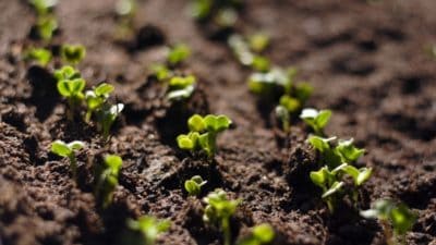 Agricultural Testing Market