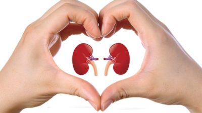 Artificial Kidney Market