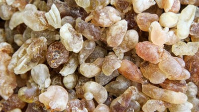 Frankincense Extracts Market