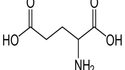 Glutamic Acid Market