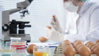 Meat Speciation Testing Market