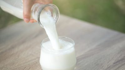 Milk Protein Market