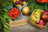 Organic Food & Beverage Market