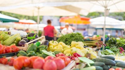 Organic Food Preservatives Market
