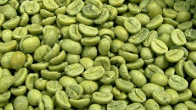 Green Coffee Bean Extract Market