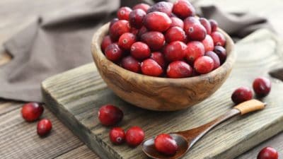 Cranberry Extract Market